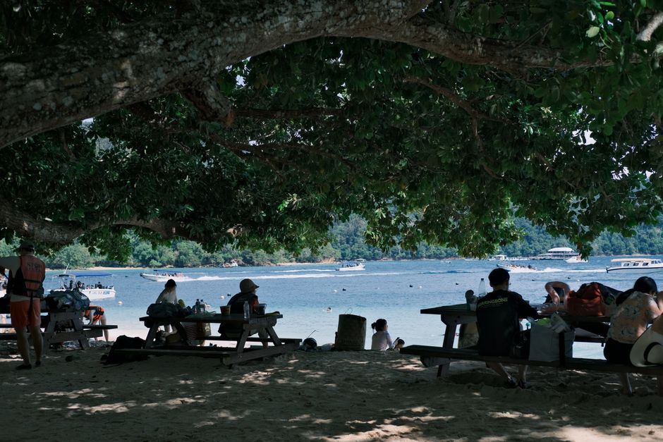 Ljudi uživaju u piknik na plaži pored velikog drveta